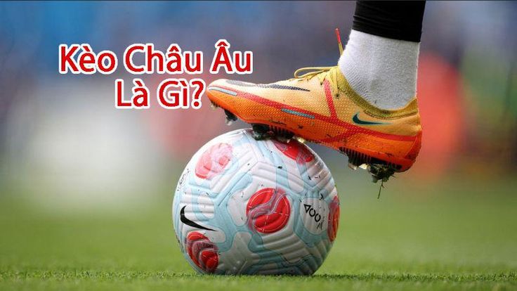 Kèo Châu Âu Là Gì? Cẩm Nang Chi Tiết Từ A-Z Cho Người Mới Bắt Đầu