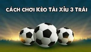 Tài Xỉu 3 Trái Là Gì? Hướng Dẫn Đọc Kèo Và Kinh Nghiệm Soi Kèo Bất Bại