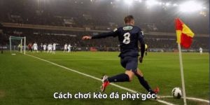 Kèo Phạt Góc Chẵn Lẻ Là Gì? Bí Quyết Soi Kèo Chuẩn Xác Cho Người Mới